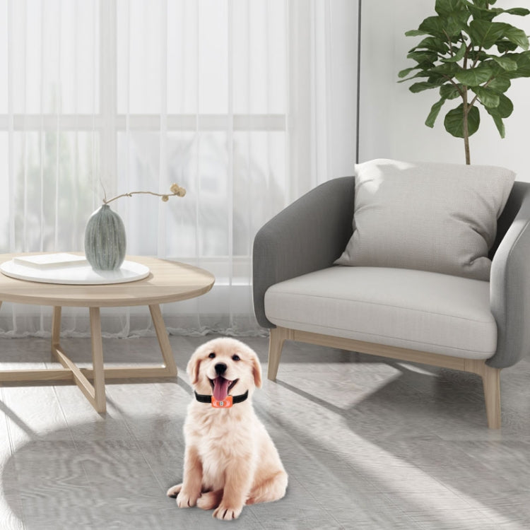 RC-302A Pet Bark Stopper Electric Shock Automatically Prevent Barking From Bark Stopper(Black) by buy2fix