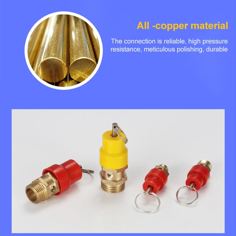 LAIZE Spring Type Safety Valve Pull Ring Exhaust Valve, Nominal Diameter:10mm by LAIZE