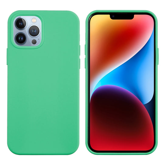 For iPhone 15 Pro Max Solid Color Silicone Phone Case(Green) by buy2fix