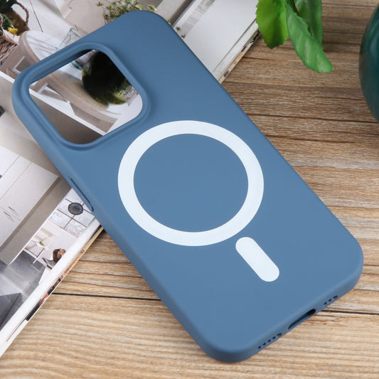 For iPhone 15 Pro MagSafe Liquid Silicone Phone Case(Blue) by buy2fix