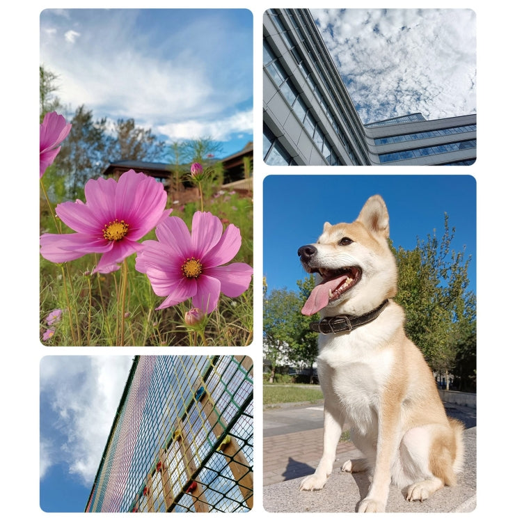 Honor Play8T, 12GB+256GB, 6.8 inch MagicOS 7.2 Dimensity 6080 Octa Core up to 2.4GHz, Network: 5G, OTG, Not Support Google Play(Silver) by HONOR