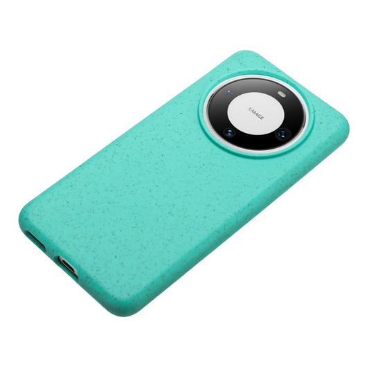 For Huawei Mate 60 Wheat MagSafe Magnetic Straw Material + TPU Phone Case(Green) by buy2fix