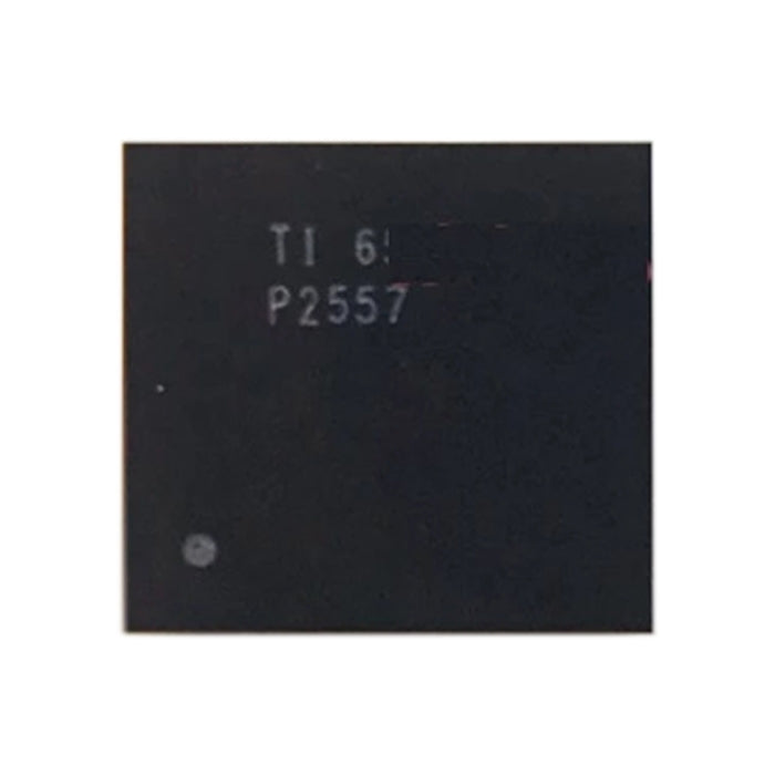 Audio IC Module P2557 by buy2fix