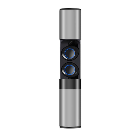 Drawer Type S2 Ear-in TWS Bluetooth V5.0 Wireless Earphones(Grey) by buy2fix