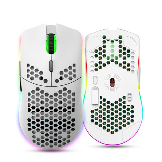 HXSJ T66 7 Keys Colorful Lighting Programmable Gaming Wireless Mouse (White) by HXSJ