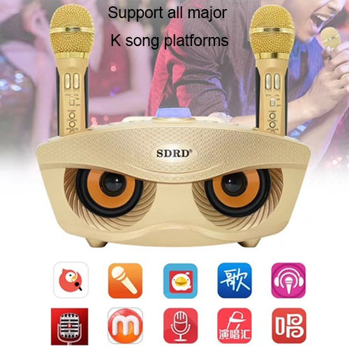 SD-306 2 in 1 Family KTV Portable Wireless Live Dual Microphone + Bluetooth Speaker(Black) by buy2fix