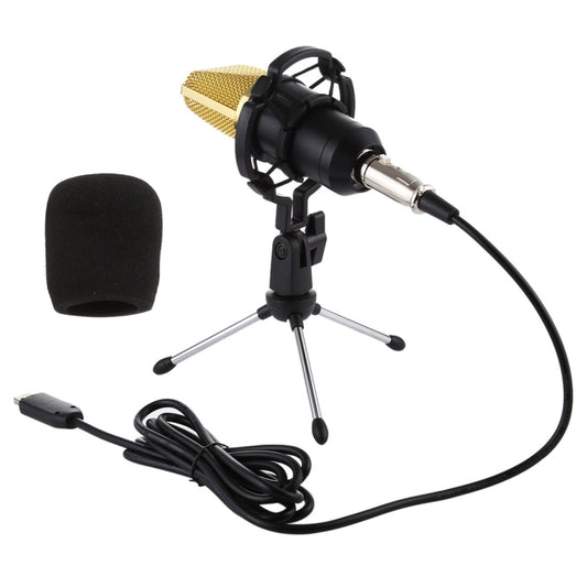 BM-700 USB Professional Condenser Microphone by buy2fix