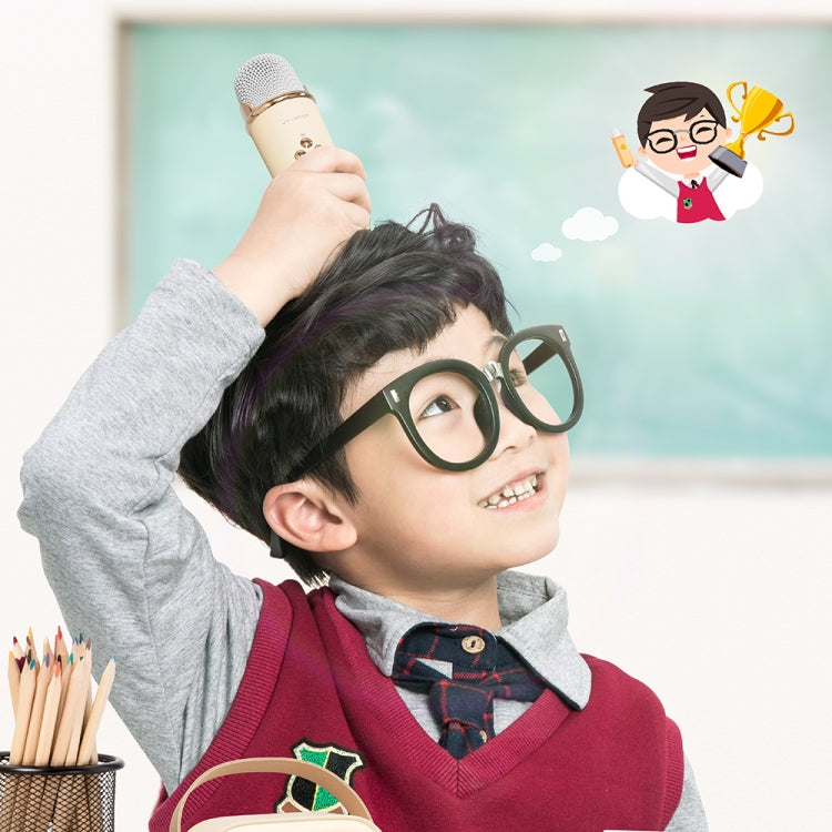 C20 Plus Multifunctional Karaoke Bluetooth Speaker With Microphone (White) by buy2fix