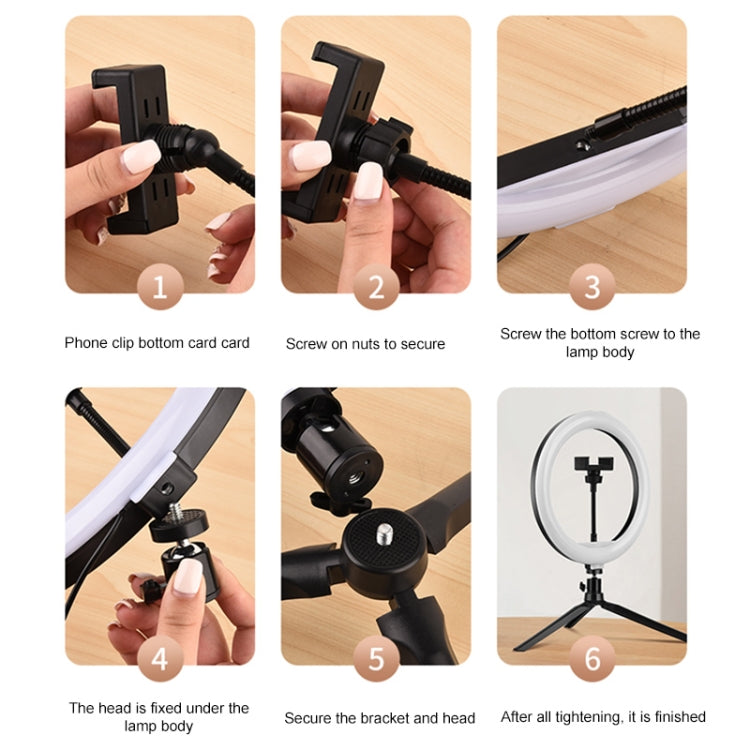 10 inch Adjustable Live Broadcast LED Fill Light Tripod with Phone Clamp by buy2fix