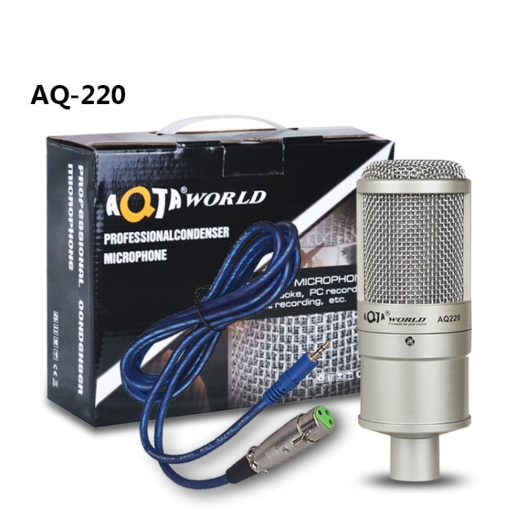 AQ-220 K Song Live Recording Noise Reduction Capacitor Microphone by buy2fix