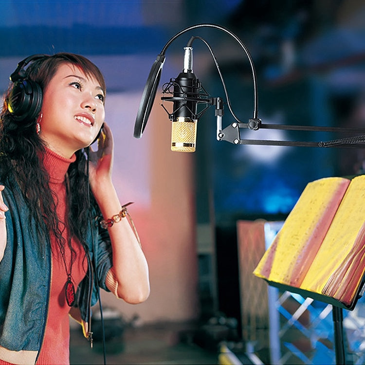 BM-800 3.5mm Studio Recording Wired Condenser Sound Microphone with Shock Mount, Compatible with PC / Mac for Live Broadcast Show, KTV, etc.(Red) by buy2fix