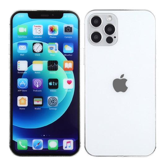 For iPhone 12 Pro Max Color Screen Non-Working Fake Dummy Display Model(Silver) by buy2fix