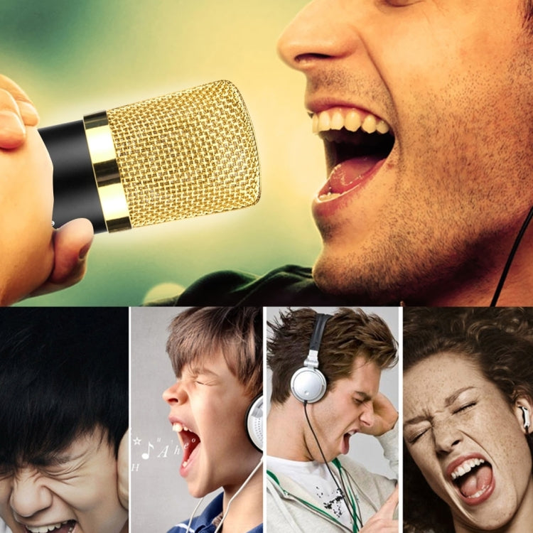 FIFINE F-700 Professional Condenser Sound Recording Microphone with Shock Mount for Studio Radio Broadcasting & Live Boardcast, 3.5mm Earphone Port, Cable Length: 2.5m(Silver) by buy2fix