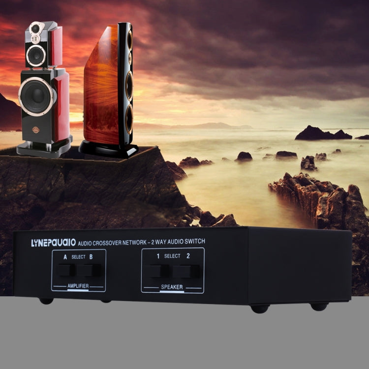 B822 Passive Speaker Switch 2 Channel Power Amplifier Audio Switch Loudspeaker, 2 Input and 2 Output(Black) by buy2fix