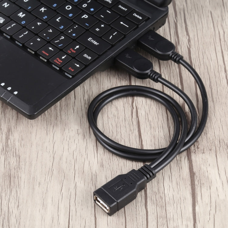 USB Female to 2 USB Male Cable, Length: About 30cm by buy2fix