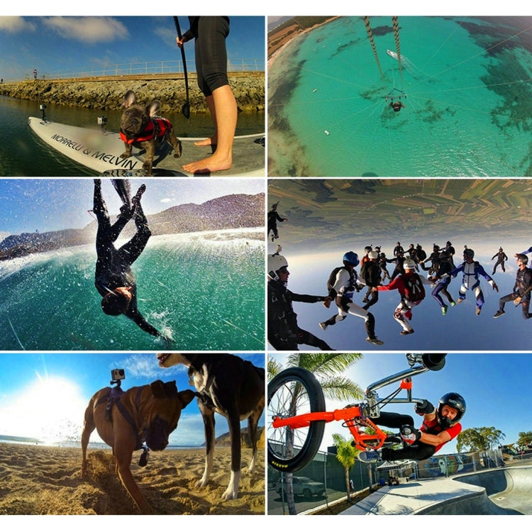 PULUZ Waterproof Carrying and Travel Case for for GoPro, Insta360, DJI and Other Action Cameras Accessories, Medium Size: 23cm x 17cm x 7cm by PULUZ