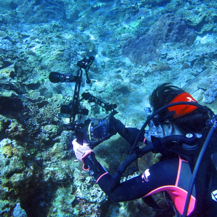 PULUZ 8 inch 20.3cm Aluminum Alloy Ball Arm for Underwater Torch / Video Light, Ball Diameter: 2.5cm by PULUZ