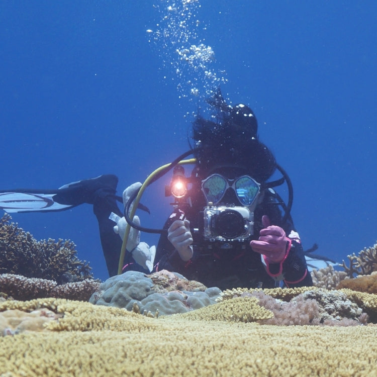 PULUZ Dual Handles Aluminium Alloy Tray Stabilizer for Underwater Camera Housings(Black) by PULUZ