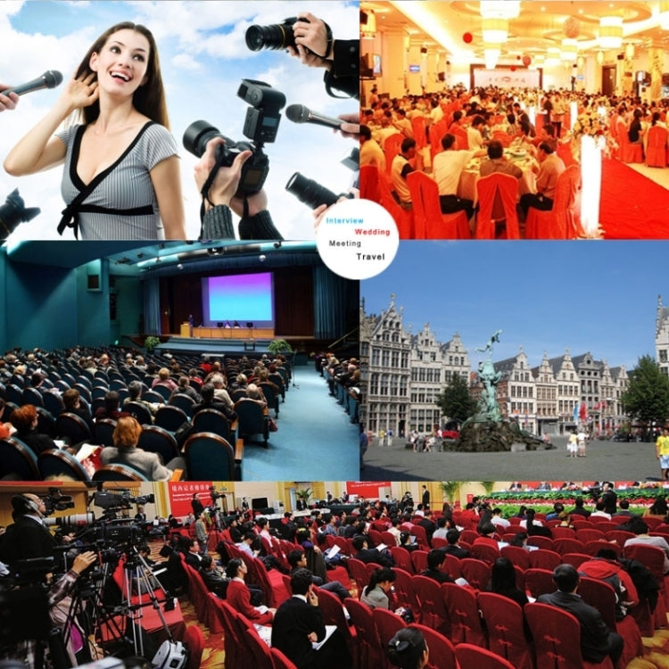 TAKSTAR SGC-598 Professional Photography Interview Dedicated Microphone for DSLR & DV Camcorder by buy2fix