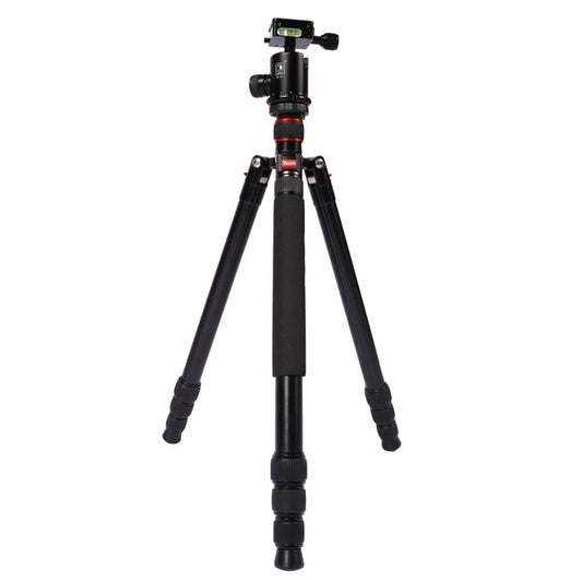 Triopo MT-2804C Adjustable Portable Aluminum Tripod with NB-2S Ball Head for Canon Nikon Sony DSLR Camera(Black) by TRIOPO