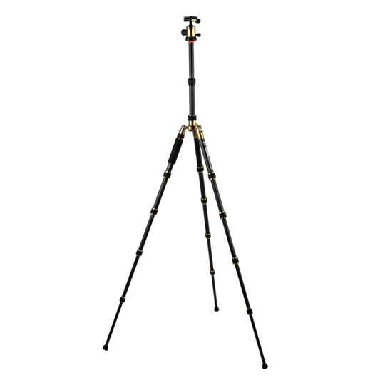 Triopo GT-2505x8.C Adjustable Portable Carbon Fiber Tripod (Gold) with B-1 Aluminum Ball Head (Black) for Canon Nikon Sony DSLR Camera by TRIOPO