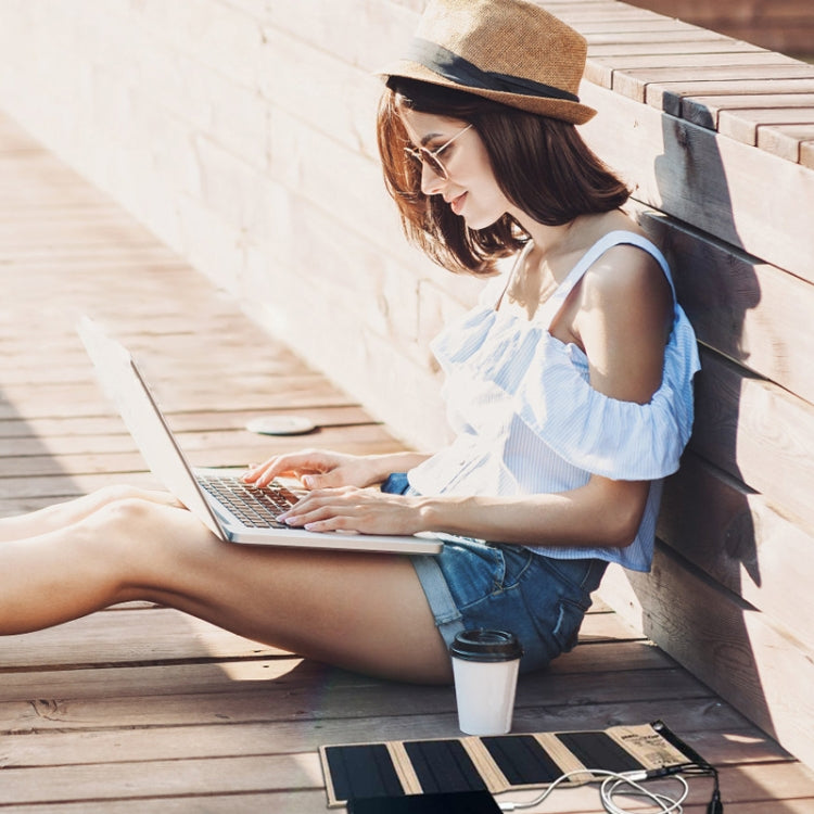 10W Monocrystalline Silicon Foldable Solar Panel Outdoor Charger with 5V Dual USB Ports (Black) by buy2fix