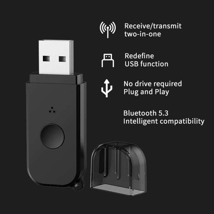 H210 Bluetooth 5.3 Audio Receiver Transmitter 2 in 1 AUX+USB Dual Output by buy2fix