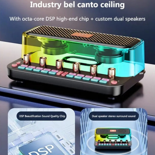 C18 Home Sound Card Karaoke Audio Integrated Microphone Equipment Full Set by buy2fix