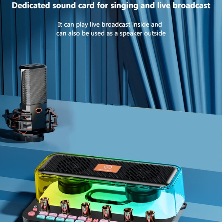 C18 Home Sound Card Karaoke Audio Integrated Microphone Equipment Full Set by buy2fix