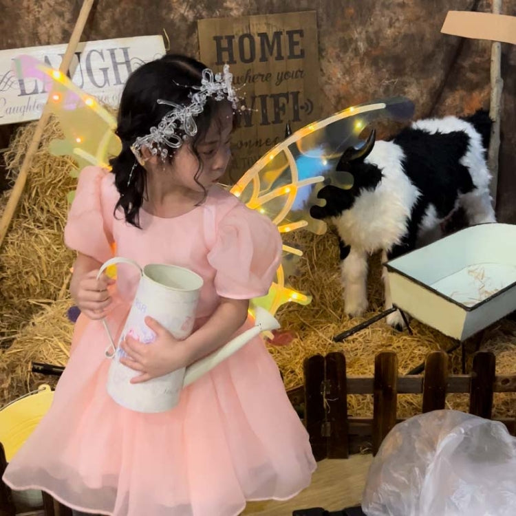 Rockwoo R01 DIY Electric Butterfly Elf Wings Toy No Light by buy2fix