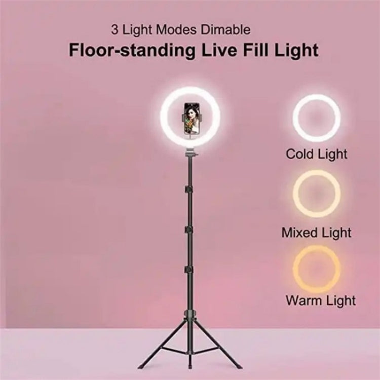 JMARY FM-536A 10 inch Ring Live Fill Light Streaming Stand Beauty Light Set by Jmary