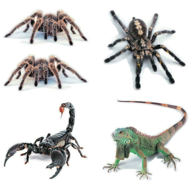 Creative Personality Scratch Cover Car Body Sticker(Black Spider) by buy2fix