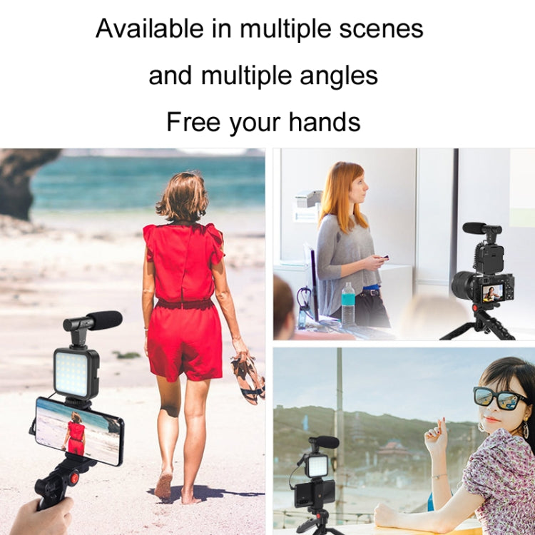 KIT-01LM 3 in 1 Video Shooting LED Light Portable Tripod Live Microphone, Specification:Battery Models by buy2fix