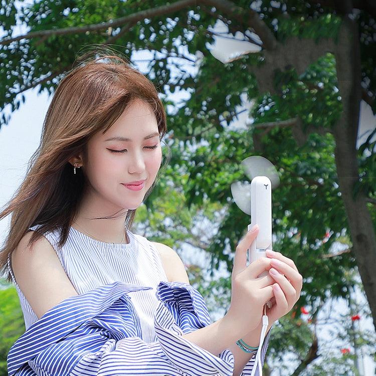 DS208 Folding Multifunctional USB Flashlight Fan Portable Aromatherapy Mosquito Repellent Mini Handheld Fan(Pink) by buy2fix