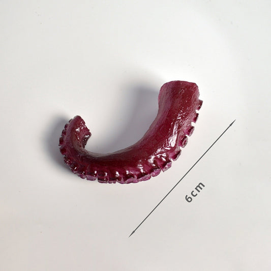 3 PCS Squid Simulation Food Model Photo Photography Props by buy2fix