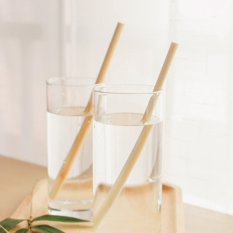 10 PCS Juice Coffee Pearl Milk Tea Natural Degradable Bamboo Straw, Style: 20cm Flat by buy2fix