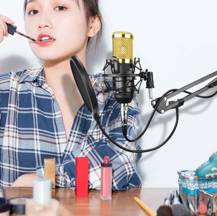 BM800 Condenser Microphone Set With USB Adapter(Black And Black Net) by buy2fix