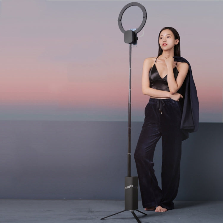 CYKE One-Piece Live Invisible Bracket Beauty Filling Light(Black) by CYKE