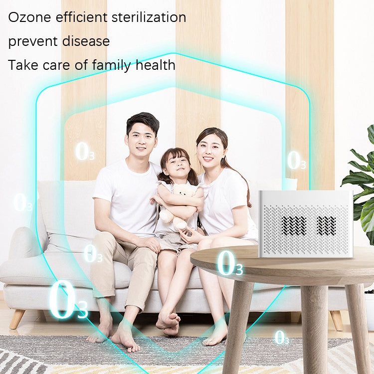 XDCM06 Vehicle Negative Ion Air Purifier(English) by buy2fix