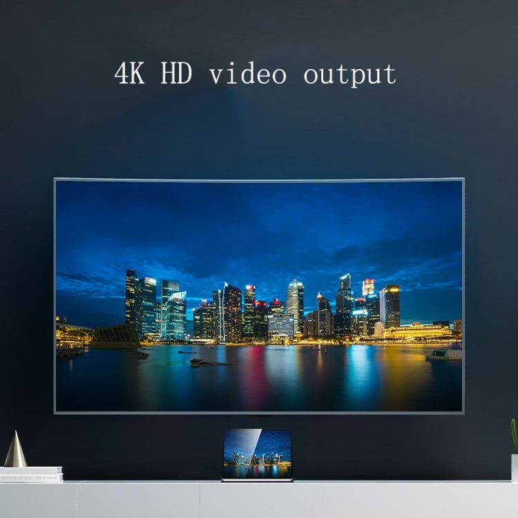 12 In 1 Type C Laptop Smart Docking Station(Gray) by buy2fix