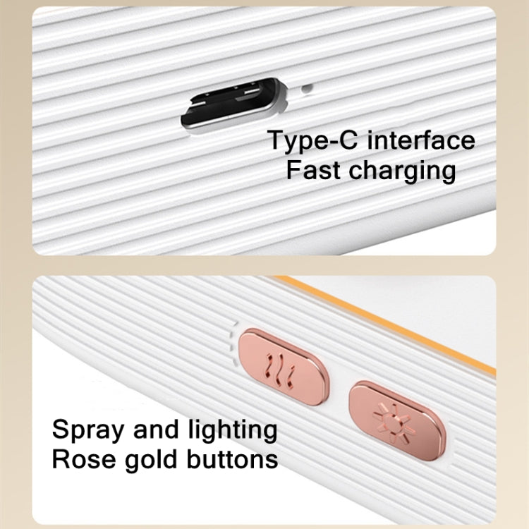 JF801 Desktop Simulation Flame Aroma Diffuser Humidifier, Color: Monochrome Light-White by buy2fix