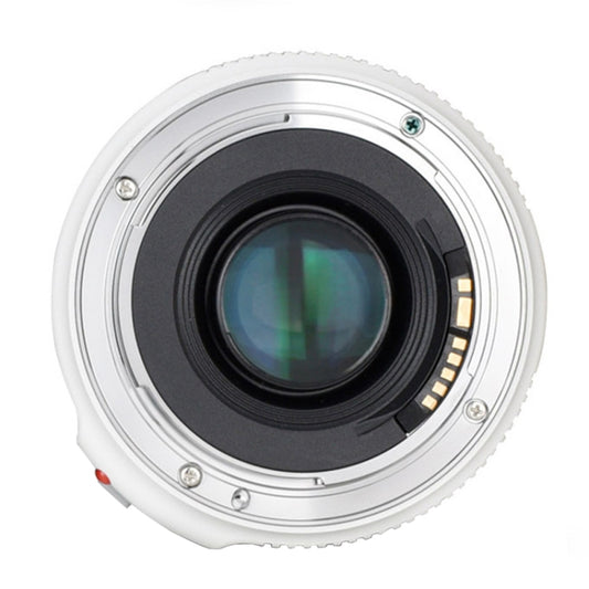 YONGNUO YN50mm F1.8 II Fixed Focus Lens Full Frame Automatic Focus For Canon SLR Camera by YONGNUO
