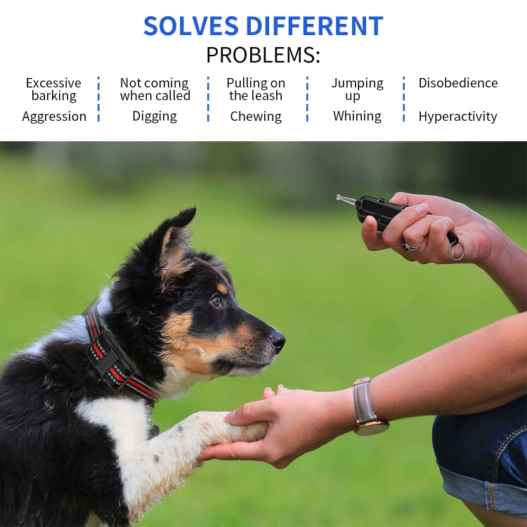 Electronic Dog Trainer Rechargeable Pet Remote Control Bark Stopper, Specification: 1 Drag 1 Orange by buy2fix