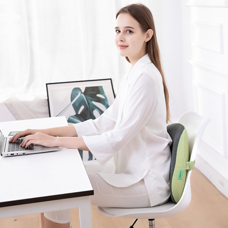 Office Memory Foam Waist Support Cushion Waist Support Pillow(Lotus Pink) by buy2fix