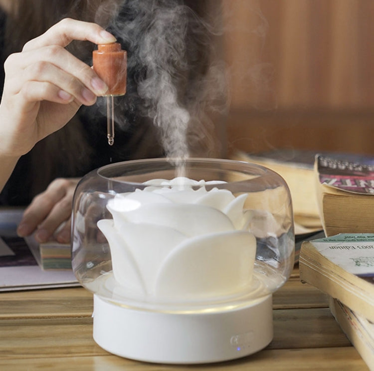 400ml Rose Aromatherapy Diffuser Timing Humidifier with Seven-color Light,CN Plug(Gray) by buy2fix