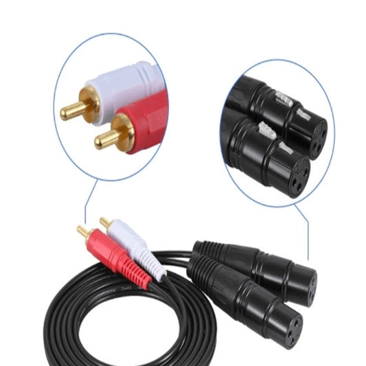 2RCA To 2XLR Speaker Canon Cable Audio Balance Cable, Size: 1m(Dual Lotus To Dual Female) by buy2fix