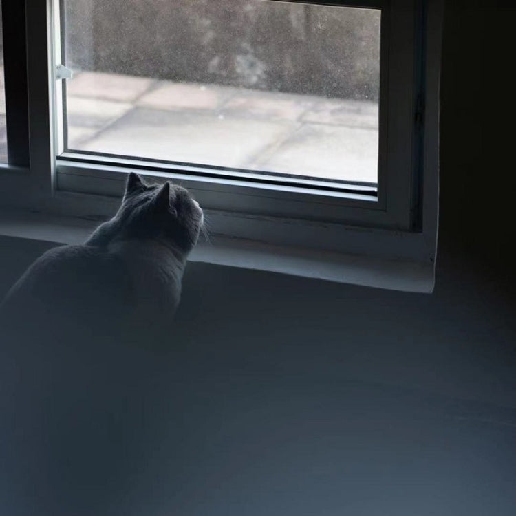 150mm+2 Handheld Diopter Blur Special Effect Photography Camera Accessories by buy2fix