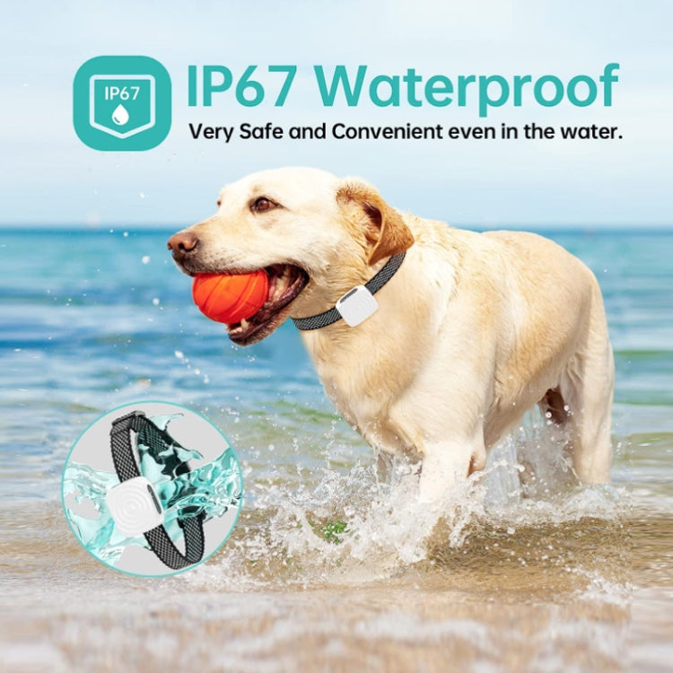 Pet Training Smart Bark Stopper Waterproof Vibration Collar(Black) by buy2fix