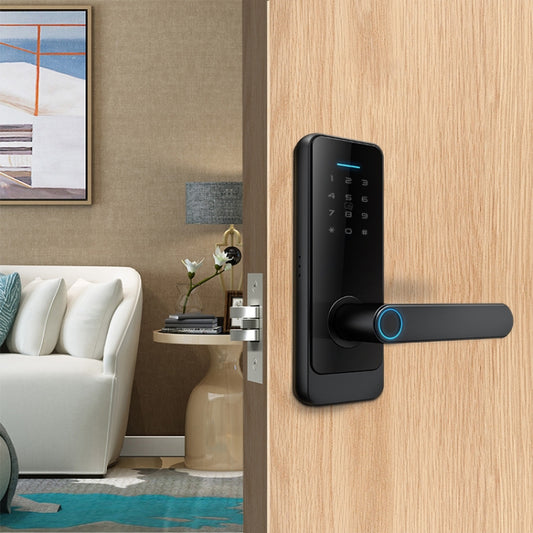 C89 Smart Fingerprint Password Lock Home Indoor Door TUYA System Lock(Silver) by buy2fix