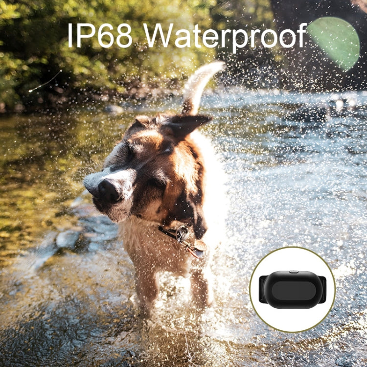 Dog Training Collar Smart 400m Remote Control Pet Training Device, Specification: T300 by buy2fix